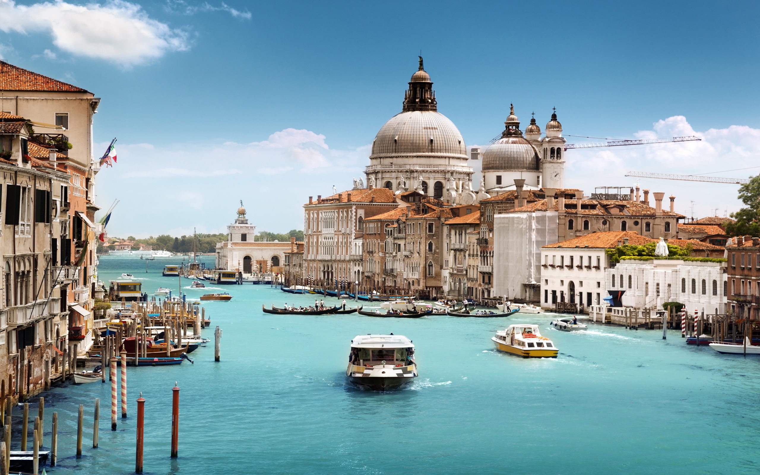 世界冲浪巡回赛:冠军在浪尖上诞生,世界冲浪锦标赛